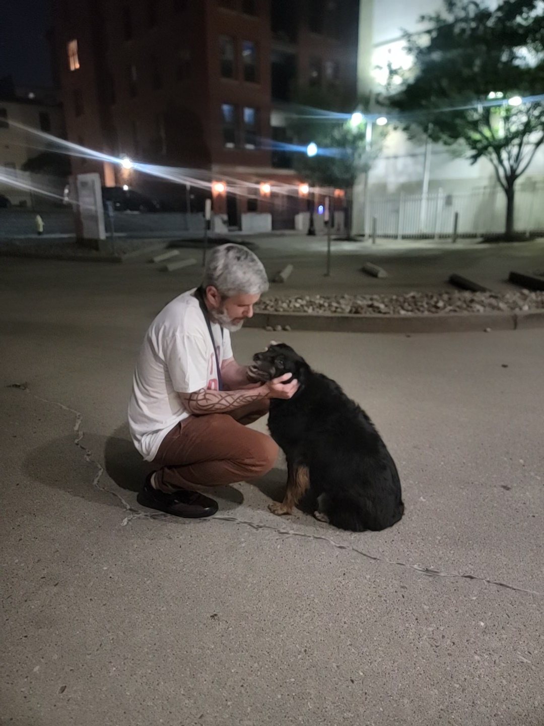 Matt MacLeod kneeling to pet a dog on a Cincinnati street at dusk